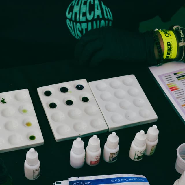 Una persona usando reactivos colorimétricos para analizar drogas