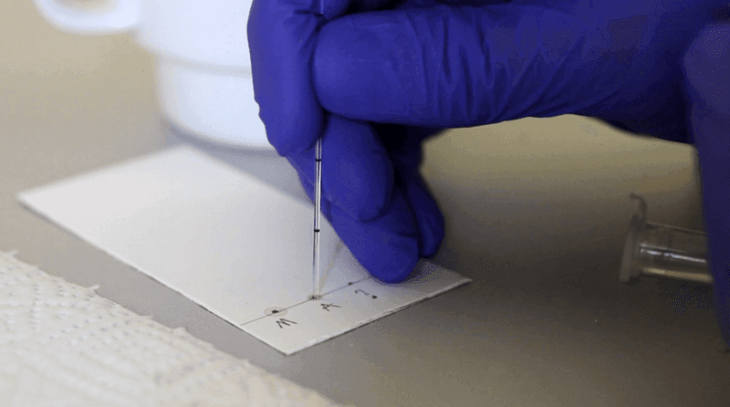 A TLC plate is being carefully spotted with different samples from small vials before analysis.