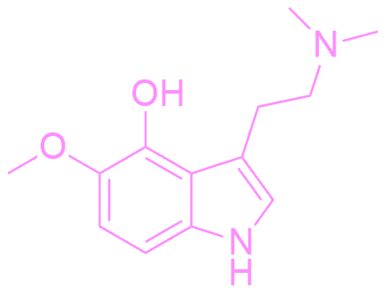 Molécula de psilometoxina