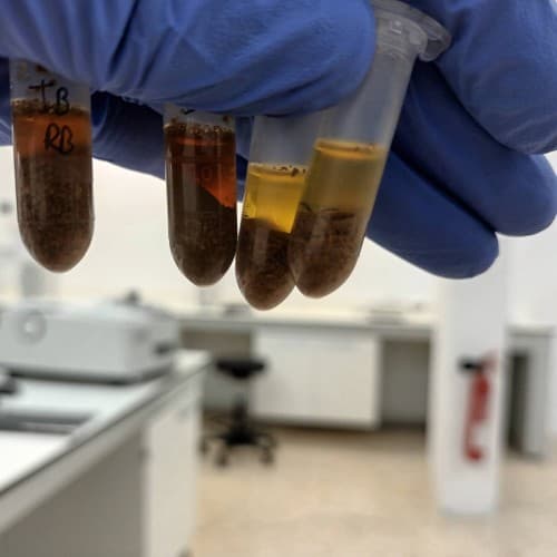 We started Routine Analysis and building our Database
