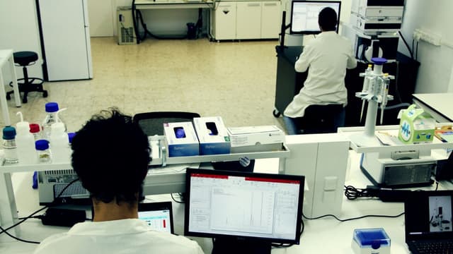 Lab Team
